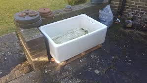 planting in a belfast sink suggestions