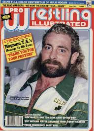 Pro wrestling illustrated special issue