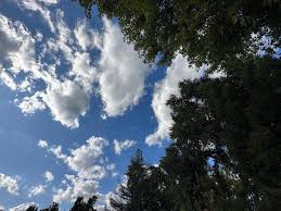 James Leu (@james_leu_photography) • Instagram photos and videos