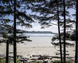 Travel Tofino Pacific Sands Beach Resort Tofino Travel Vancouverisland Canada Pacificsandsbeachresort Beach Resorts Sands Resort Tofino