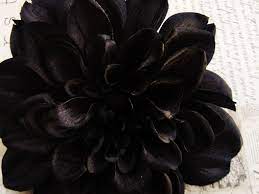 Black Dahlia Hair Flower Clip Etsy Flowers Black Flowers Flowers In Hair