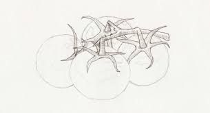 How To Sketch | How-To-Art.com