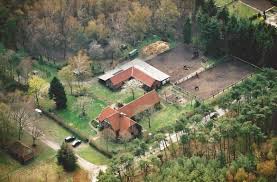 Previously, thomas was the chief executive officer at hellmann. Gguwtib2jjwfgm