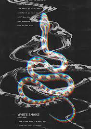 White Snake Poster Design Snake Wallpaper Typography Poster Design Graphic Wallpaper