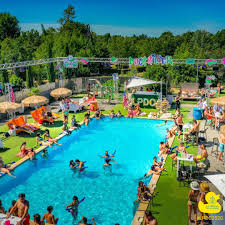 Duck Killer La Piscine Du Canard Le Canard Sur Le Toit Facebook