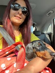 My little boy Lenny 7months old 💙 he absolutely HATES the car , whines and  barks the whole time try's to escape I have tried the front seat with me ,  the