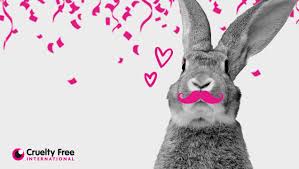 Physical presence in the high street. Cruelty Free And Forever Against Animal Testing