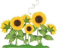 Sunflower Border Clip Art Sunflowers Clip Art Images Sunflowers Stock Photos Clipart Flower Clipart Images Sunflower Art Clip Art