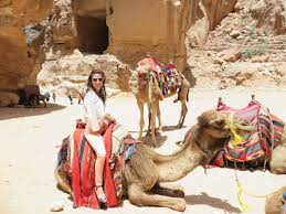 You can see the difference in its larger size, its strength and its endurance. Poljoprivredni Plavi Kit Svibanj Camel Ride Jordan Eventosgrandcoral Com