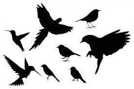 Sunlara Benzer Vektorler 24686055 Vector Collection Of Bird Silhouettes 2020 Kus Siluet Silhouettes Illustrasyonlar