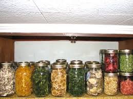 Comment Faire Secher Les Aliments Legumes Seches Recettes De Conserve Alimentation