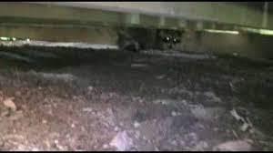Get rid of raccoons under the shed or deck: Raccoons Under The Deck Im Such A Wimp Youtube