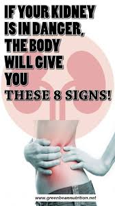 If Your Kidney Is In Danger The Body Will Give You These 8 Signs With Images Kidney Cleanse Kidney Health Kidney Detox Cleanse