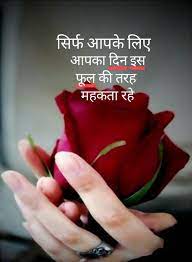 Jul 24, 2021 · 60 beautiful good morning flowers images for whatsapp good morning red roses with quotes hindi 325 good morning quotes in hindi font images wallpaper hd photo. 9 Hindi Rose Quotes Ideas Good Morning Messages Hindi Good Morning Quotes Good Morning Quotes