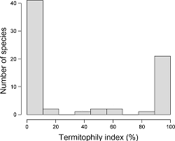 Image result for Hymenodictyon austro-africanum