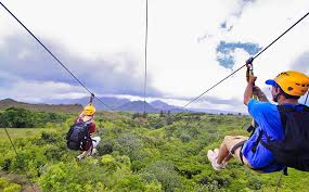 Punta Cana: Zip Line Canopy Adventure