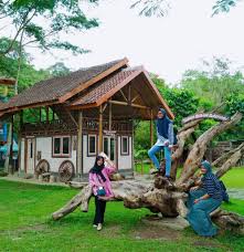 7 kelurahan kebon agung jember, east java, indonesia, 68134. Lokasi Rute Foto Dan Harga Tiket Masuk Taman Botani Jember