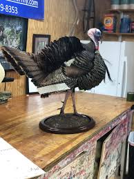 Birds Of A Feather 2019 Cast Pin By Birds Only Taxidermy On 2019 Projects Work Iron Pan Cast Iron Pan Projects