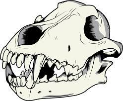 Wolf Skull Vector By Niktollison Wolf Skull Pressure Units Bane