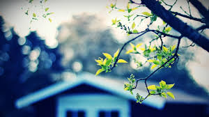 Home Wallpaper Hd 1080p 52 desktop wallpaper hd full screen free download. home wallpaper hd 1080p