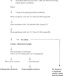 Figure 1 From Rapid Method For Detection Of Gram Positive