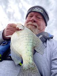 Pacific Northwest mountain picnic with kids