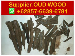 The cost of first grade agarwood in dubai is usd 100,000 per kilogram, almost twice the gold prices. Agarwood Suppliers In Dubai Suppliers 62 857 6639 6781 Whasapp