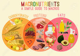 Main Food Groups Macronutrients Carbohydrates Fats And Proteins