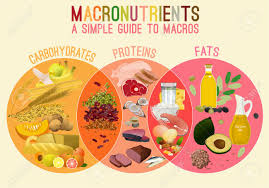 main food groups macronutrients carbohydrates fats and proteins