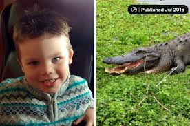 Father Of Toddler Drowned At Disney Resort Said A Second Alligator Attacked  Him