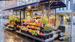 We did not find results for: Flower Shop Street Daytime Flowershop Flower Shop Spring Nature Color Floral Pxfuel