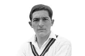 Almanac Cricket: Dr Cricket