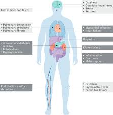 Global Pandemics Interconnected Obesity Impaired Metabolic Health And Covid 19 Nature Reviews Endocrinology
