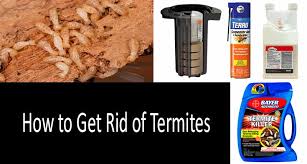 How To Get Rid Of Termites 7 Best Termite Killers In 2019