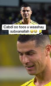 Mr. Cantuge: Comedy and Project Experiences