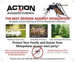 Action now serves new jersey, philadelphia and new york city. 20 Action Termite And Pest Control Ideas Pest Control Pests Termites