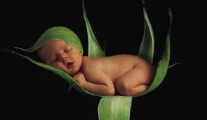 Nombres De Bebes Varones Que Empiezan Con J Que Significa El Nombre Nombres Para Bebes Varones Y Su Significado Nombres De Hombres
