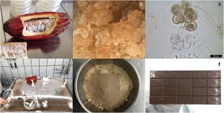 We did not find results for: Plant Cell Culture Technology In The Cosmetics And Food Industries Current State And Future Trends Springerlink