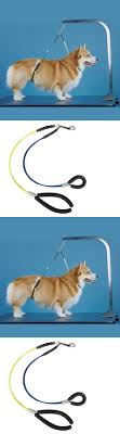 Grooming Tables 146241 Pet No Sit Haunch Holder Grooming Dog Restraint Arm Loop Small Medium 19x21 Free Buy It Now Only Dog Grooming Dog Restraint Grooming