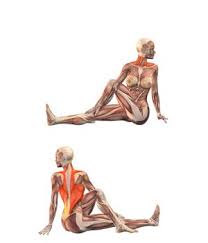 Browser Not Supported Yoga Muscles Yoga Postures Ashtanga Yoga