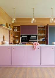 purple kitchen cabinets houzz