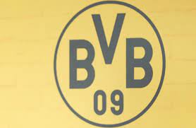 Giovanni reyna, borussia dortmund, 2. Bvb Vs Hoffenheim Verpasst Borussia Dortmund Im Siegesrausch Hoffenheim Kann Nicht Uberzeugen News De