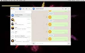 How To Use Whatsapp Video Calls For Individual And Group Calls