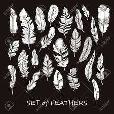 Leaves enrich our earth with oxygen. Vector Ornate Set Of Stylized And Abstract Silhouette Feathers Elements For Design And Coloring Pages Royalty Free Cliparts Vectors And Stock Illustration Image 68322491