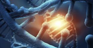 10 Benefits of a Stem Cell Treatment ...