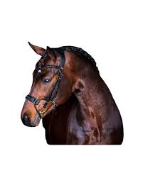 High jump is a game all about height. Trense High Jump Trensen Zubehor Ps Of Sweden Marken Equiole Reitsport
