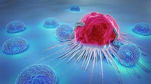 In her book wanda describes the dreams that guided her to find her cancer after doctors dismissed her nagging breast pain, and then chronicles the use of dreams in leading her on a path to healing. Dream Of Cancer Dream About Cancer Diagnosis Meaning