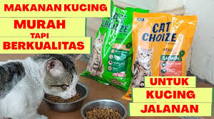 Diet vegan atau vegetarian untuk kucing yang kontroversial. Review Makanan Kucing Murah Tapi Berkualitas Merk Cat Choize My Cats Diary Youtube