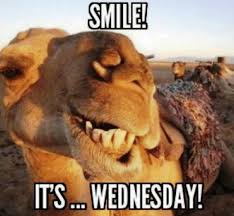 Geico witch commercial happier than a witch in a broom factory. Funny Happy Wednesday Meme Jokes Puns Riddles