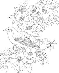 You can head on over the post i created with a couple new printable coloring pages you can instantly. Flower Free Printable Coloring Pages For Adults Only Pdf Novocom Top
